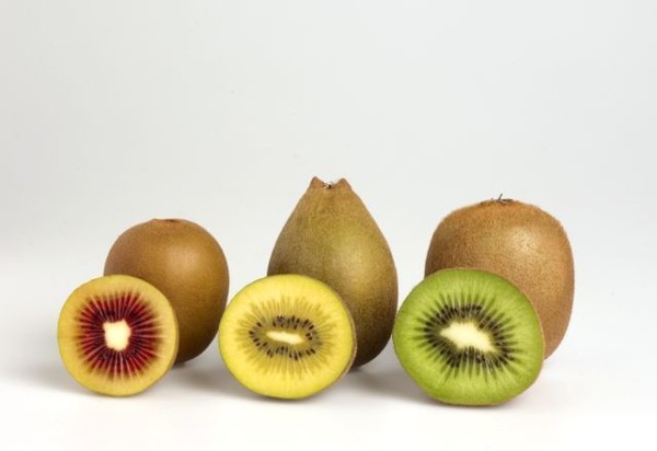 kiwifruit 